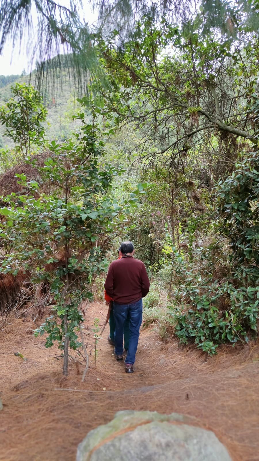 Santa Ana – La Aguadora 4