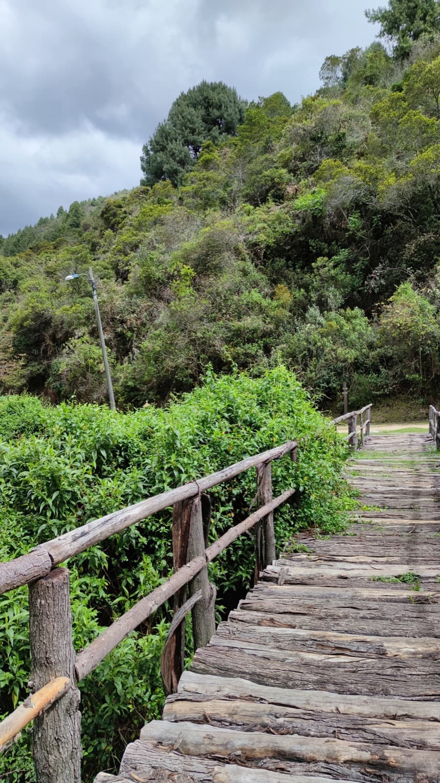 Santa Ana – La Aguadora 7