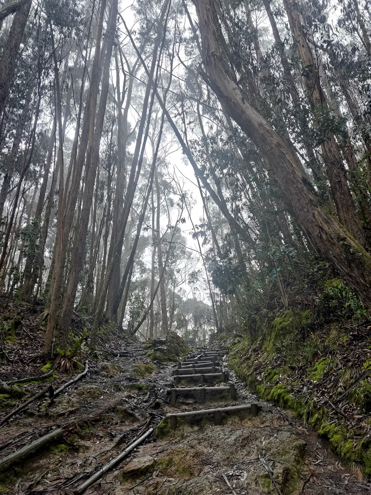 Conexión Cerros 1