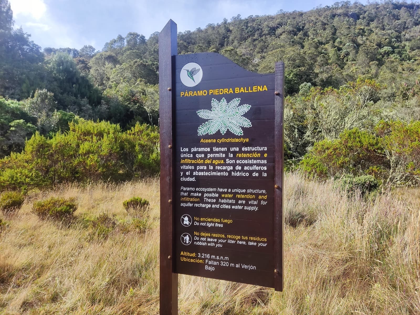 Conexión Cerros 4