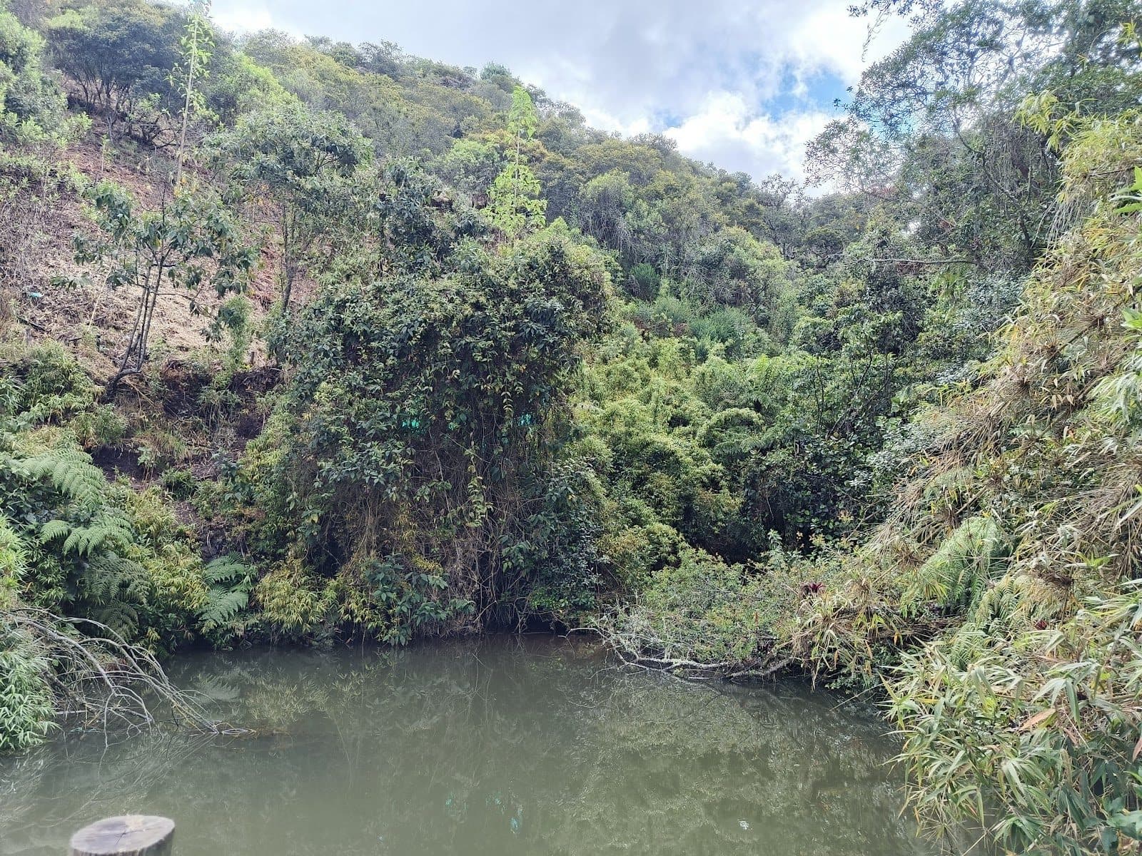 La Serranía 5