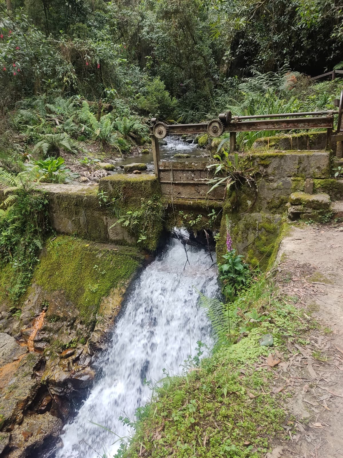 San Francisco – Vicachá 4