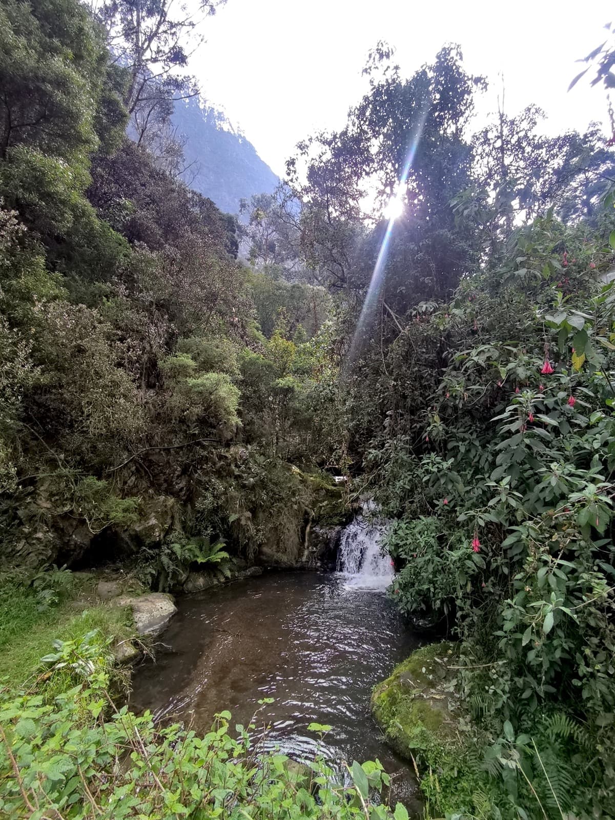 San Francisco – Vicachá 7