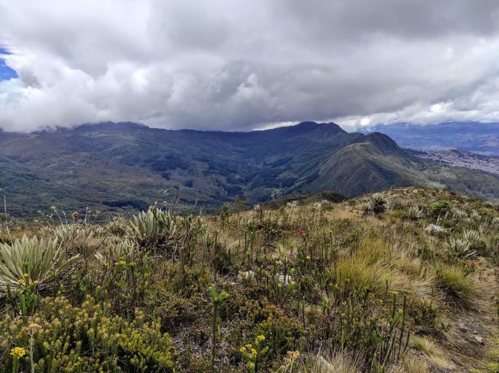 Guadalupe 7