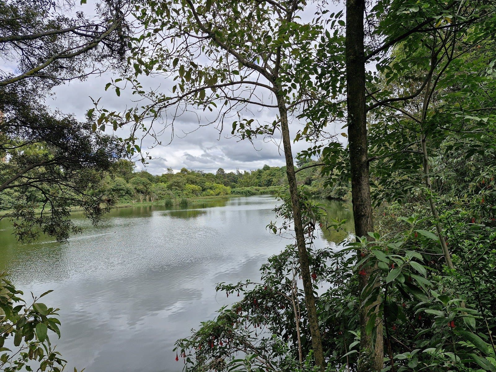 Humedal Córdoba 4